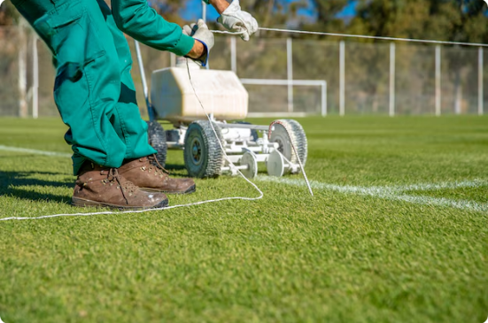 Cleaning of Artificial Grass