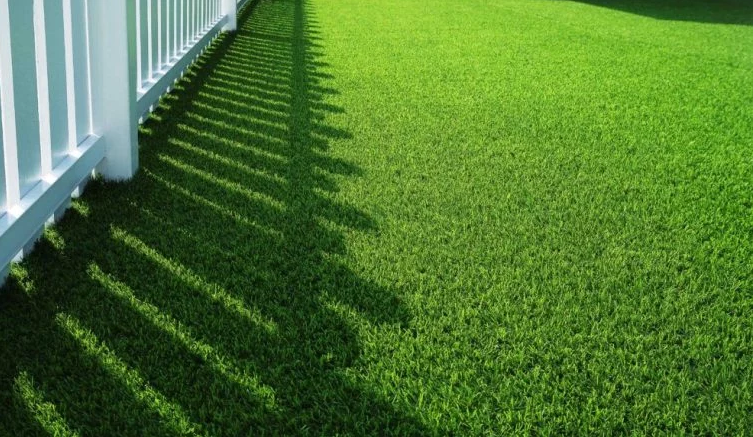 Durablity of Artificial grass