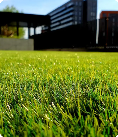 Atlanta Artificial Grass Co.