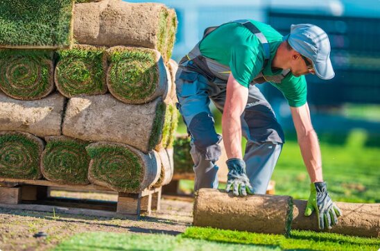 Sustainable Turf Options