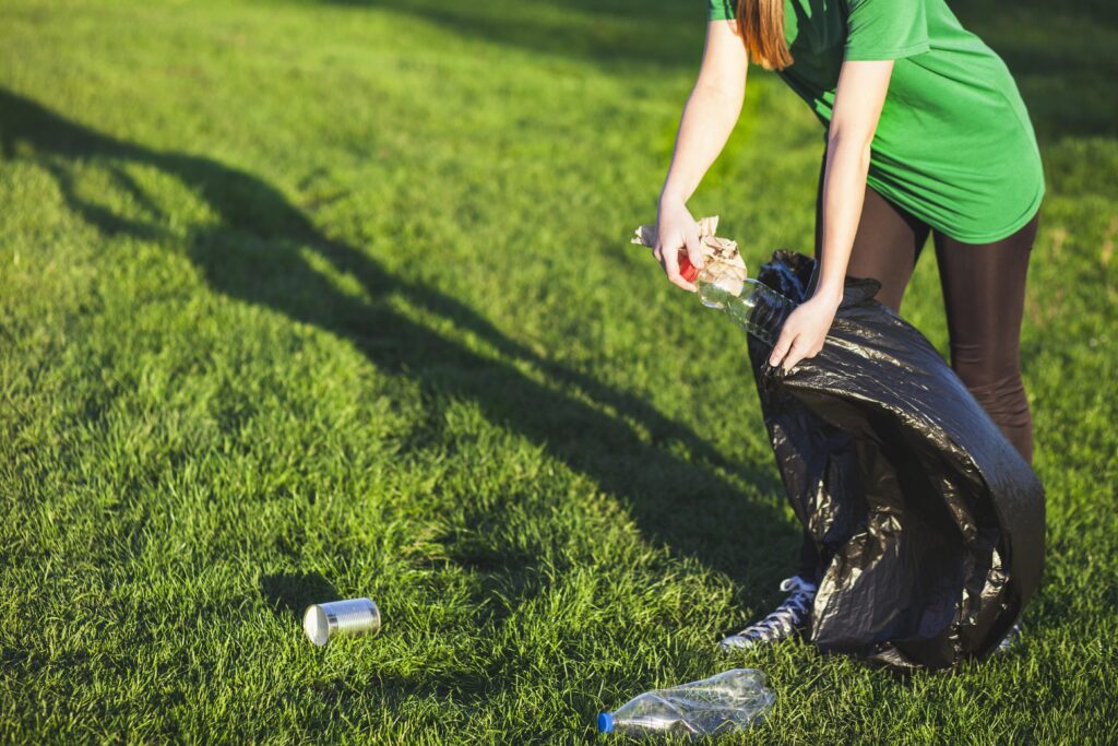 Cleaning of Artificial Grass