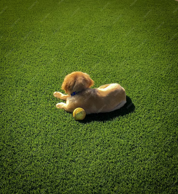 Atlanta Pet Turf Installation