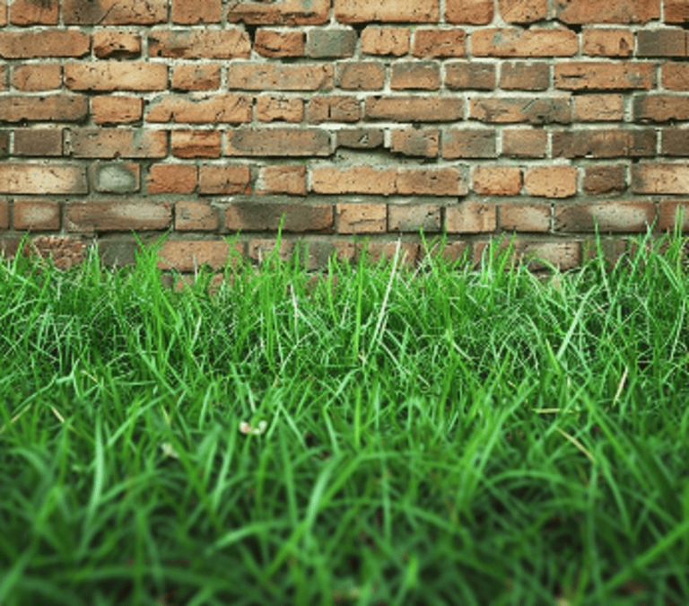 Wall Grasss Artificial turf