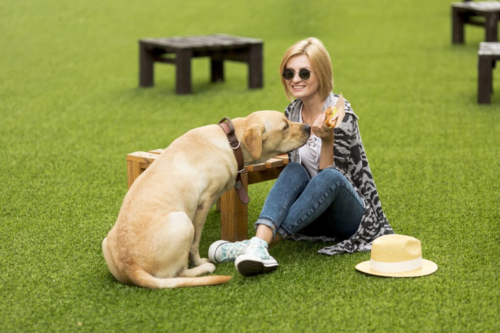 How Artificial Grass is Perfect for Families and Pets