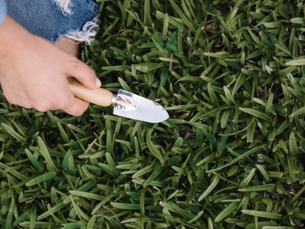 Solutions for Playground turf at Atlanta Georgia