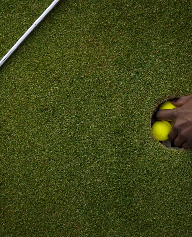 Artificial Grass Putting Green image